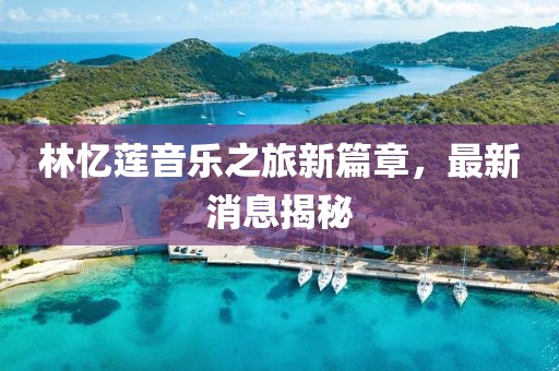 林忆莲音乐之旅新篇章，最新消息揭秘