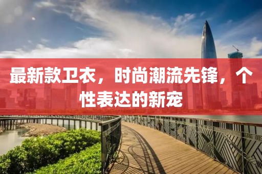最新款卫衣，时尚潮流先锋，个性表达的新宠