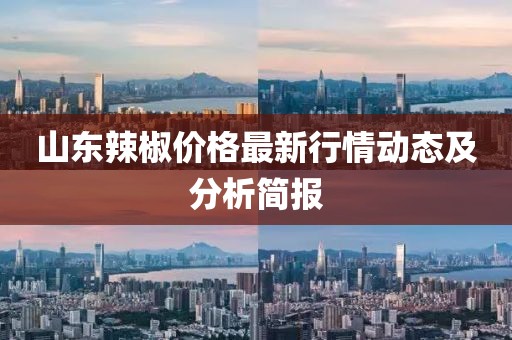 山东辣椒价格最新行情动态及分析简报