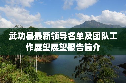 武功县最新领导名单及团队工作展望展望报告简介