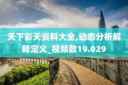 天下彩天资料大全,动态分析解释定义_视频款19.029