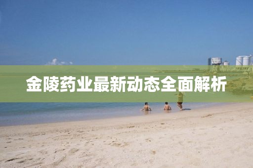 金陵药业最新动态全面解析