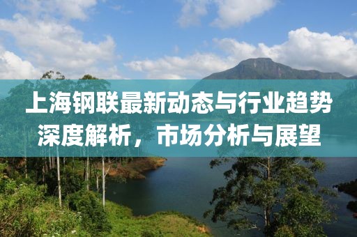 上海钢联最新动态与行业趋势深度解析，市场分析与展望