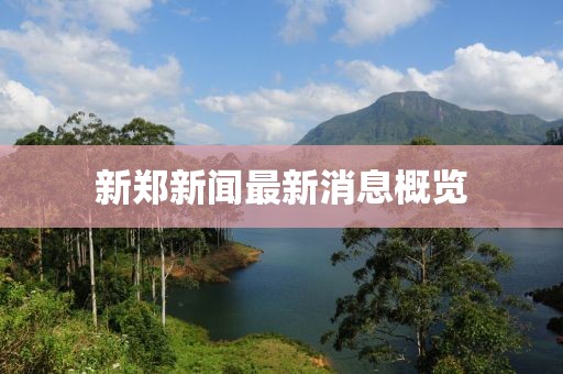 新郑新闻最新消息概览