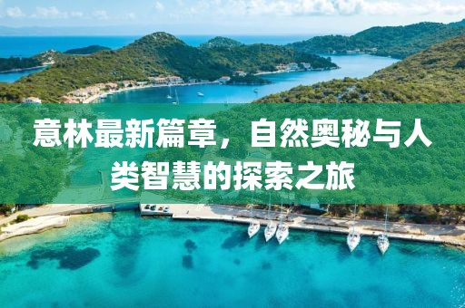 意林最新篇章，自然奥秘与人类智慧的探索之旅