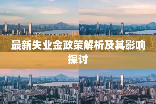 最新失业金政策解析及其影响探讨