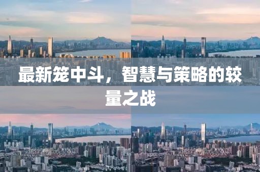 最新笼中斗，智慧与策略的较量之战