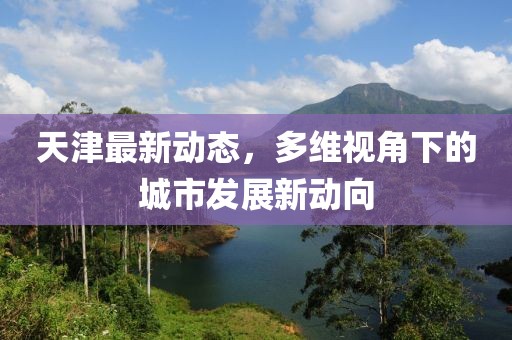 天津最新动态，多维视角下的城市发展新动向