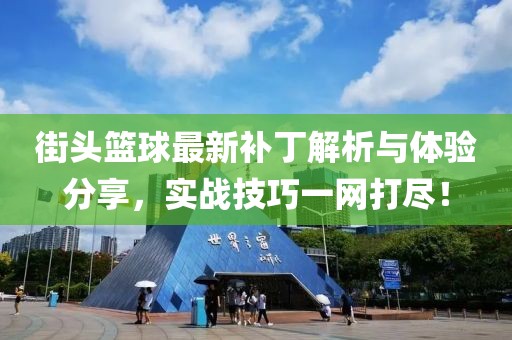 街头篮球最新补丁解析与体验分享，实战技巧一网打尽！