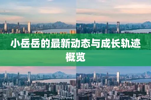 小岳岳的最新动态与成长轨迹概览