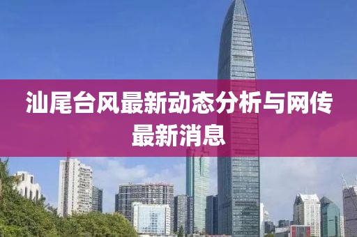 汕尾台风最新动态分析与网传最新消息