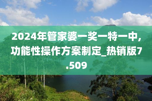 2024年管家婆一奖一特一中,功能性操作方案制定_热销版7.509