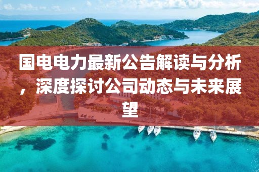 国电电力最新公告解读与分析，深度探讨公司动态与未来展望