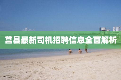莒县最新司机招聘信息全面解析