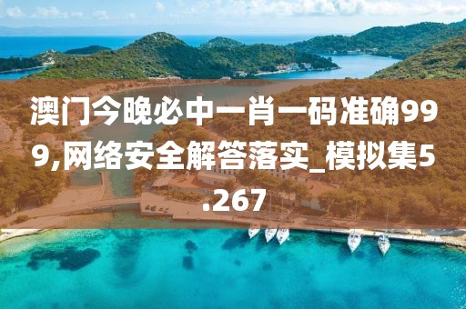 澳门今晚必中一肖一码准确999,网络安全解答落实_模拟集5.267