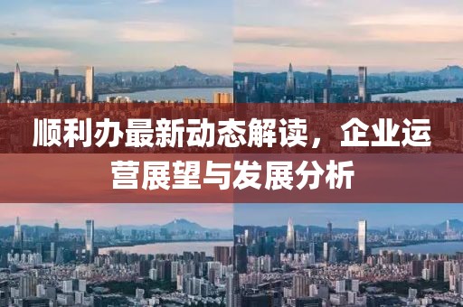 顺利办最新动态解读，企业运营展望与发展分析