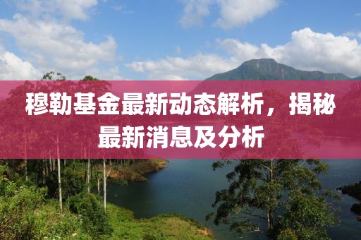 穆勒基金最新动态解析，揭秘最新消息及分析
