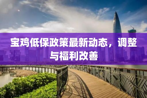 宝鸡低保政策最新动态，调整与福利改善
