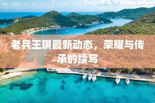 老兵王琪最新动态，荣耀与传承的续写