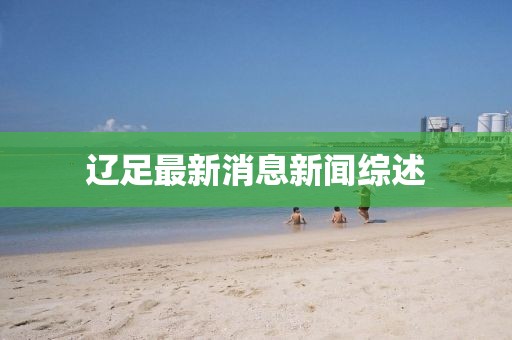辽足最新消息新闻综述