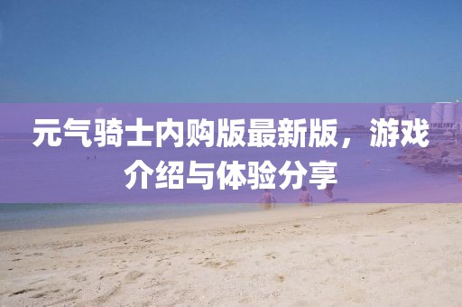 元气骑士内购版最新版，游戏介绍与体验分享