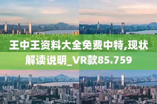 王中王资料大全免费中特,现状解读说明_VR款85.759