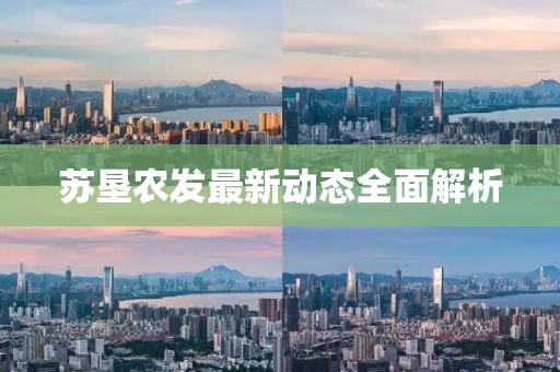 苏垦农发最新动态全面解析