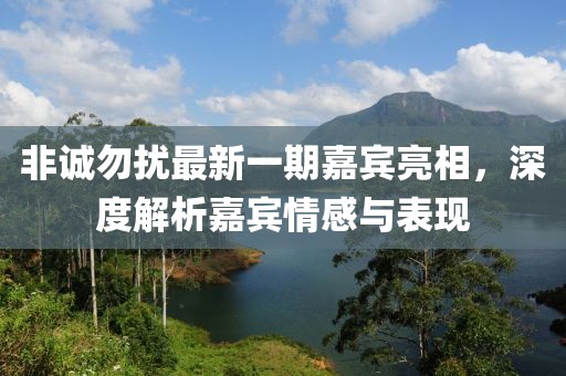 非诚勿扰最新一期嘉宾亮相，深度解析嘉宾情感与表现