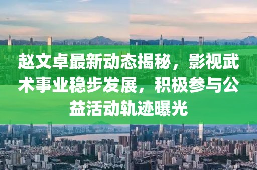 赵文卓最新动态揭秘，影视武术事业稳步发展，积极参与公益活动轨迹曝光