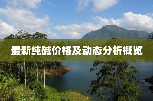 最新纯碱价格及动态分析概览