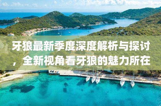 牙狼最新季度深度解析与探讨，全新视角看牙狼的魅力所在
