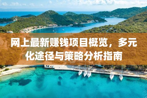 网上最新赚钱项目概览，多元化途径与策略分析指南