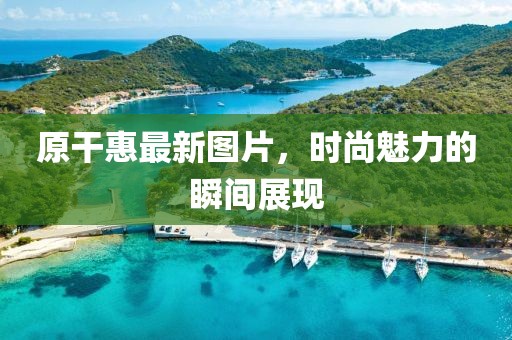 原干惠最新图片，时尚魅力的瞬间展现