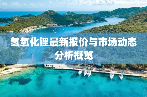 氢氧化锂最新报价与市场动态分析概览