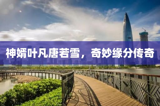 神婿叶凡唐若雪，奇妙缘分传奇
