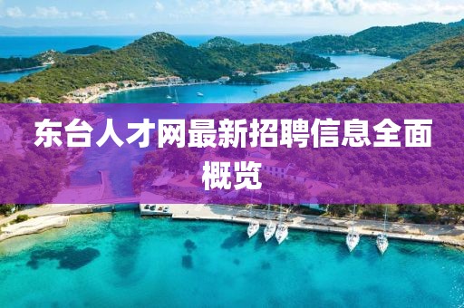 东台人才网最新招聘信息全面概览