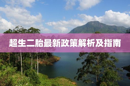 超生二胎最新政策解析及指南