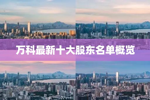 万科最新十大股东名单概览