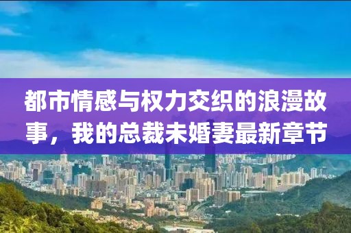都市情感与权力交织的浪漫故事，我的总裁未婚妻最新章节