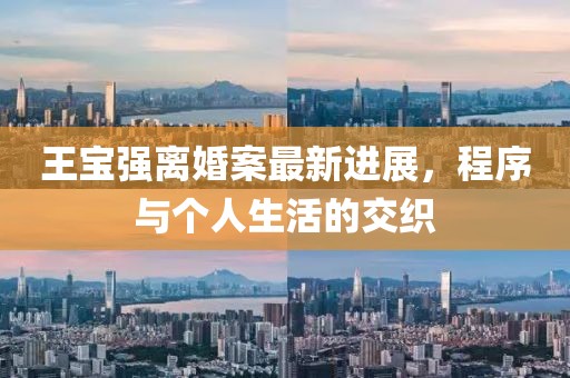 王宝强离婚案最新进展，程序与个人生活的交织