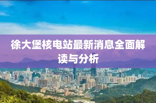徐大堡核电站最新消息全面解读与分析