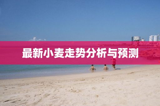 最新小麦走势分析与预测