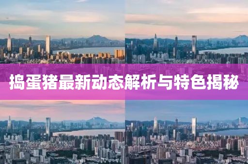 捣蛋猪最新动态解析与特色揭秘