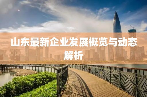 山东最新企业发展概览与动态解析