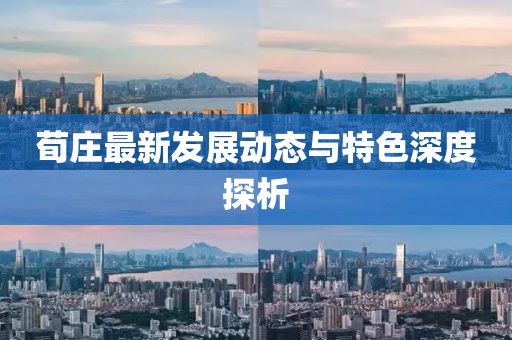 荀庄最新发展动态与特色深度探析