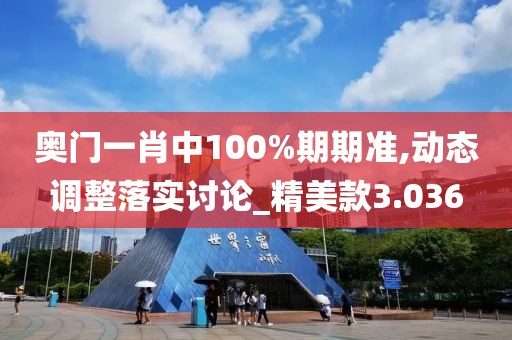 奥门一肖中100%期期准,动态调整落实讨论_精美款3.036