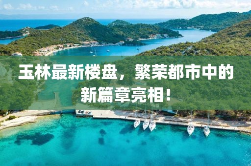 玉林最新楼盘，繁荣都市中的新篇章亮相！