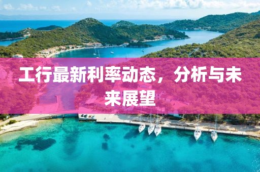 工行最新利率动态，分析与未来展望