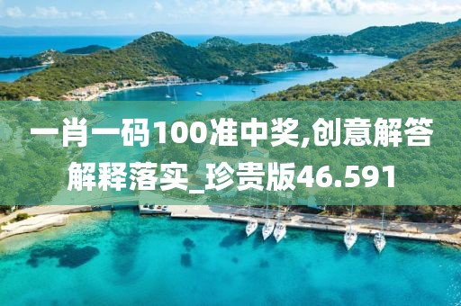 一肖一码100准中奖,创意解答解释落实_珍贵版46.591