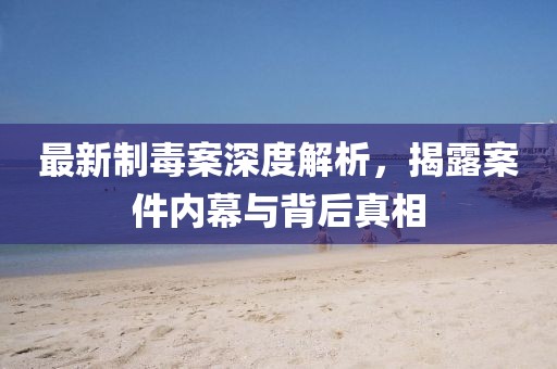 最新制毒案深度解析，揭露案件内幕与背后真相